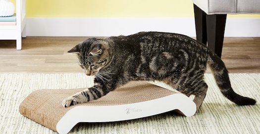 cardboard flip pad scratching toy