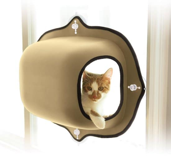cat inside Cat Bubble window mount