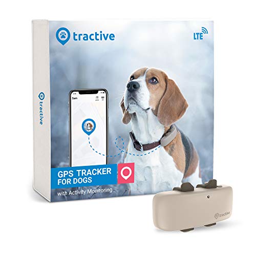 Tractive dog GPS collar tracker