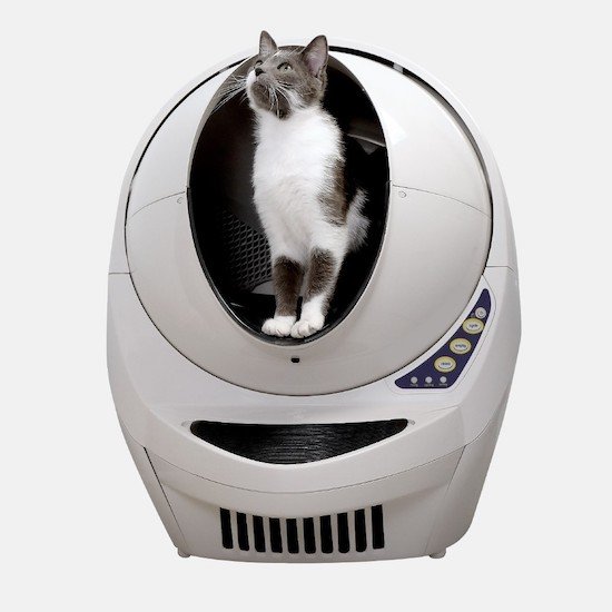 Litter-Robot 3 high-tech pet product for cats