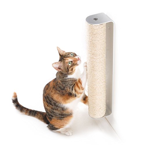 cat scratching wall-mounted sisal post
