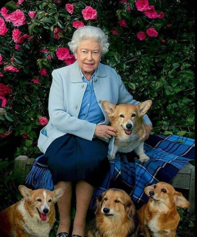 Queen Elizabeth II and Corgis