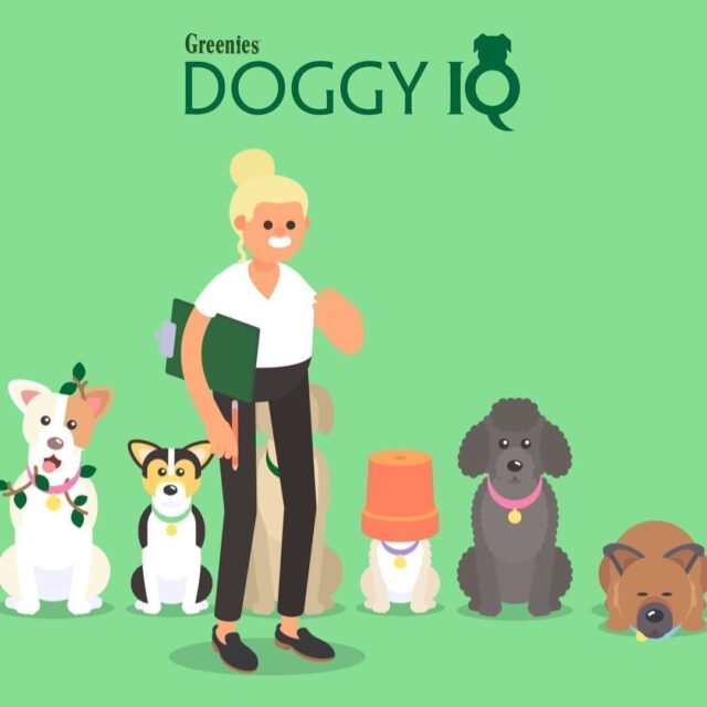 Doggy IQ