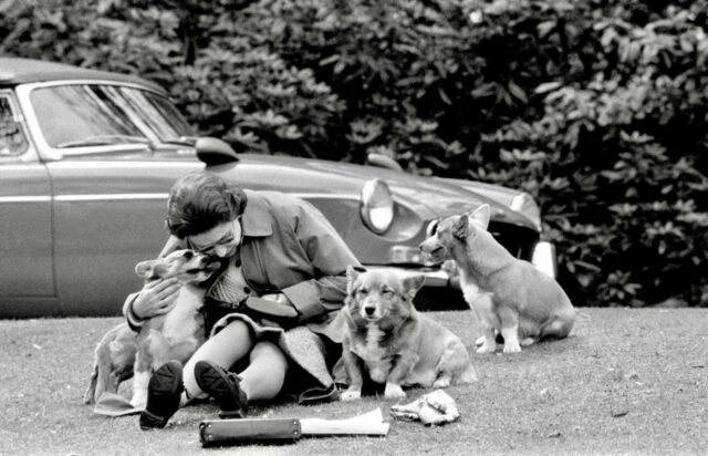 Queen with Royal Corgis