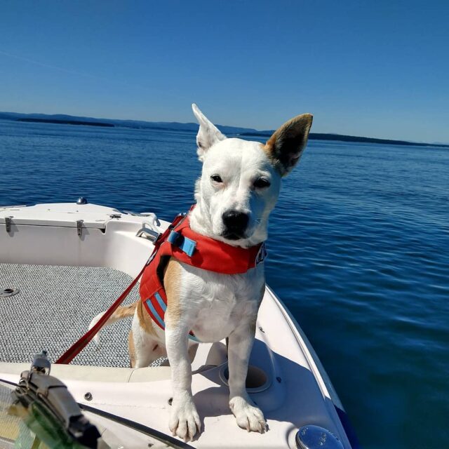 Eba on boat