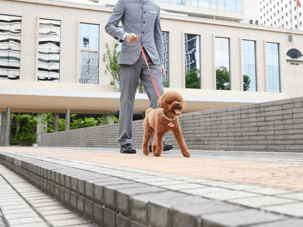 Pet-friendly staycations Landmark Mandarin Oriental