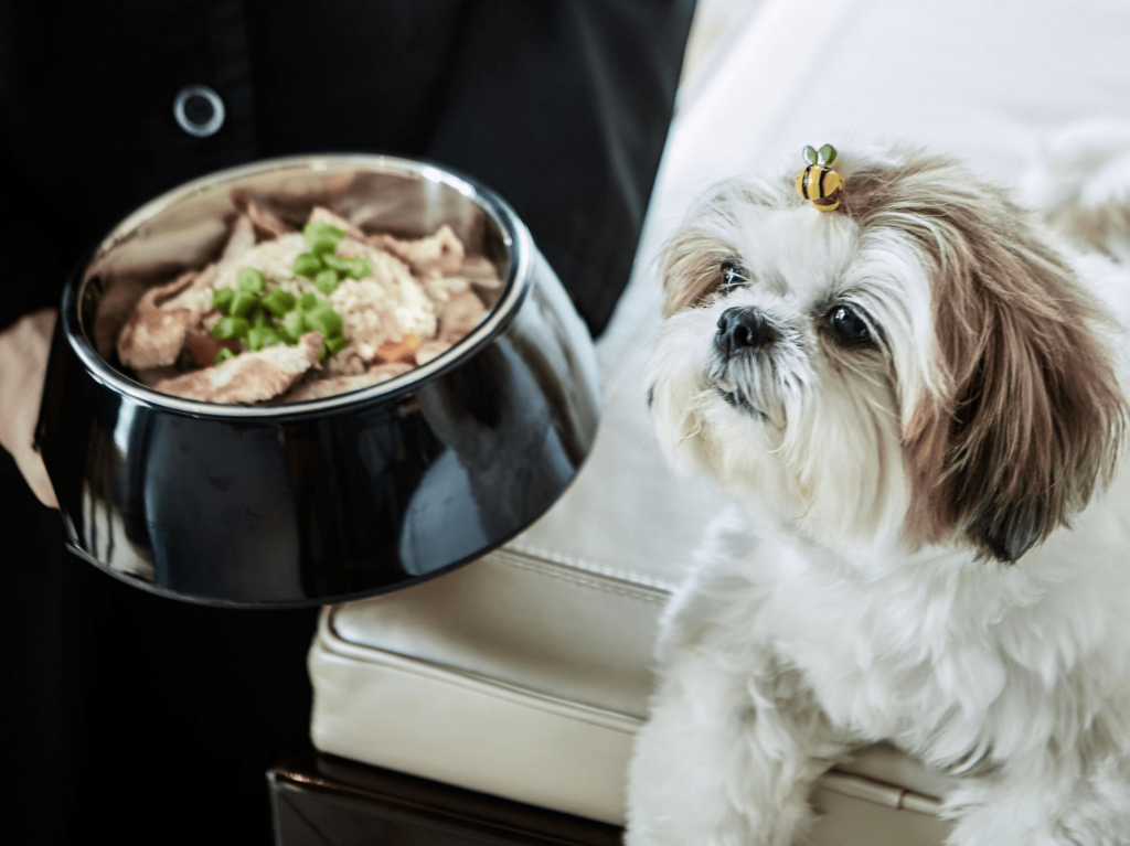 Pet friendly staycations ritz carlton