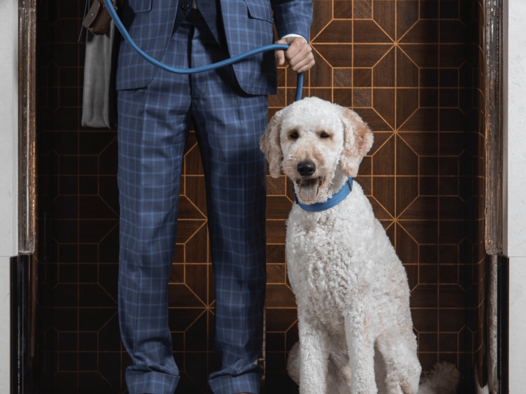 Pet-friendly staycations rosewood hotel