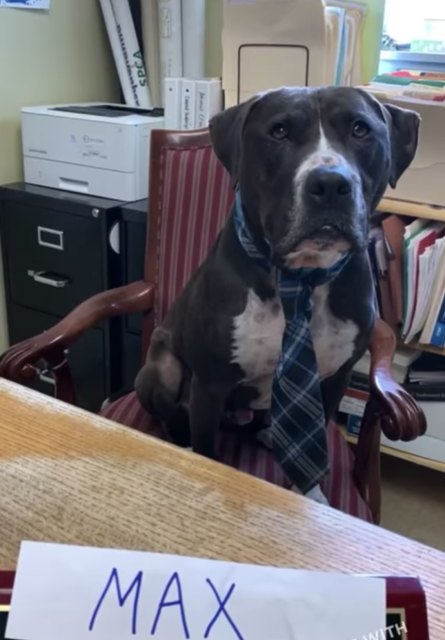 Max in office