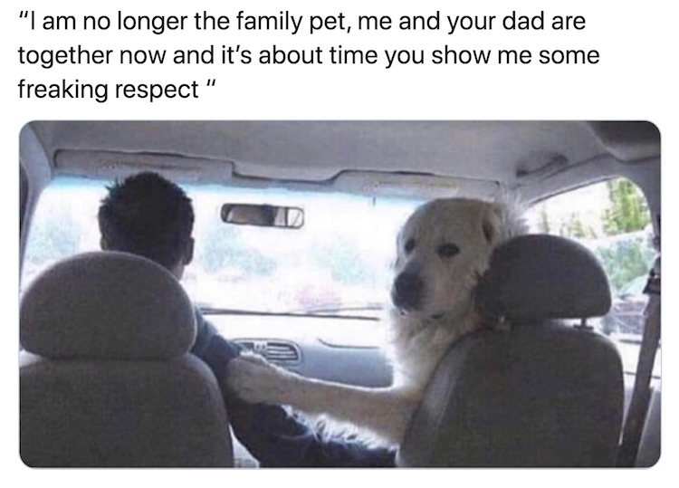 Human-like dog
