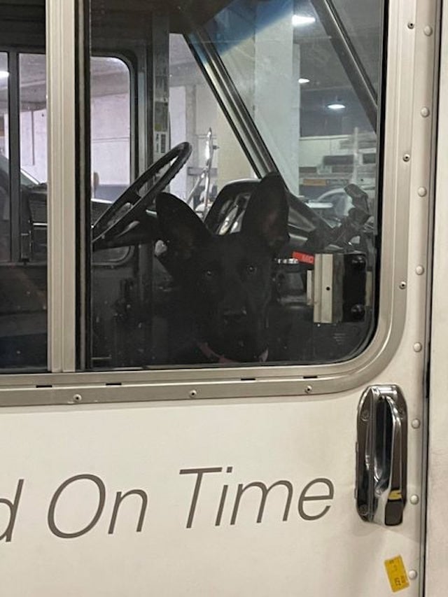 Ursula in FedEx truck