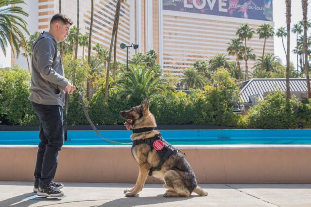 Veteran and K9 Partner