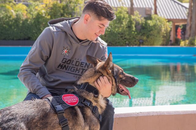 Veteran reunited with K9