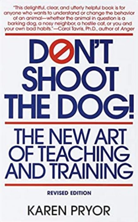 Don't Shoot the Dog