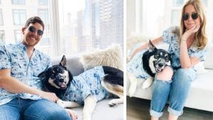 Dog Hawaiian Shirts Dog Threads Surf's Up BBQ matching dog and family Hawaiian shirt