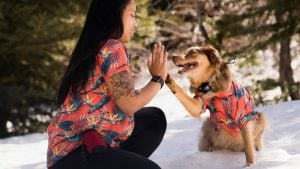 Dog Hawaiian Shirts Dog Threads Jungle Bird BBQ matching dog and family Hawaiian shirt
