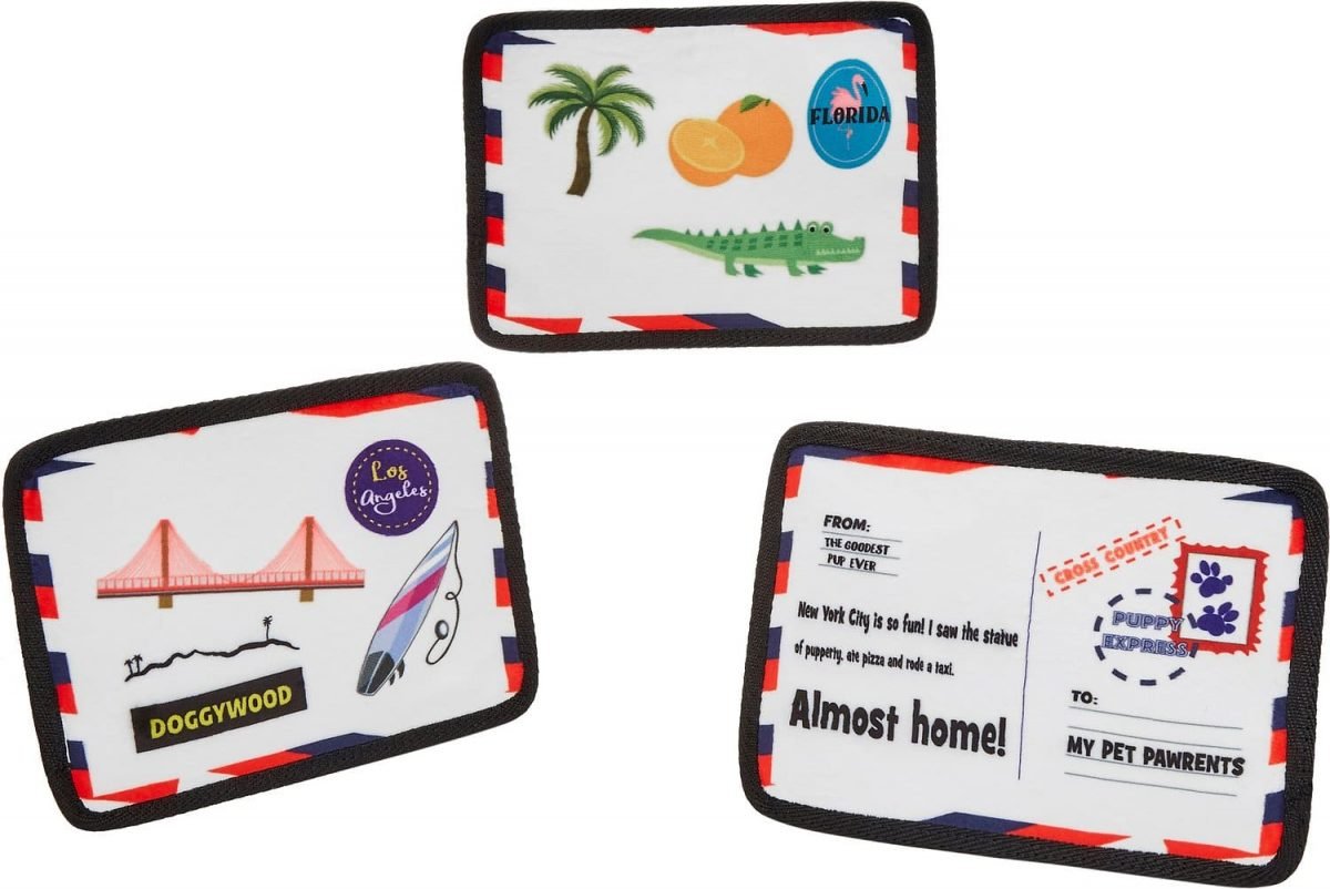 Three plush dog toy postcards from California, Florida and New York