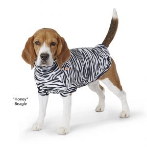 Paikka zebra protective shirt summer dog top