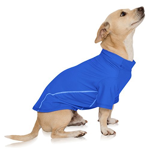 dog wearing solid blue PlayaPup Sun Shirt