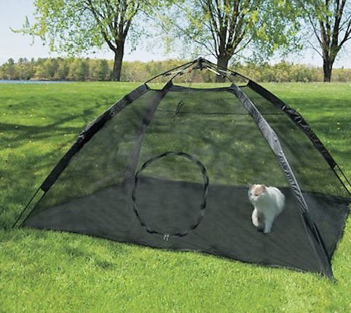 Mesh outdoor kitten playpen tent
