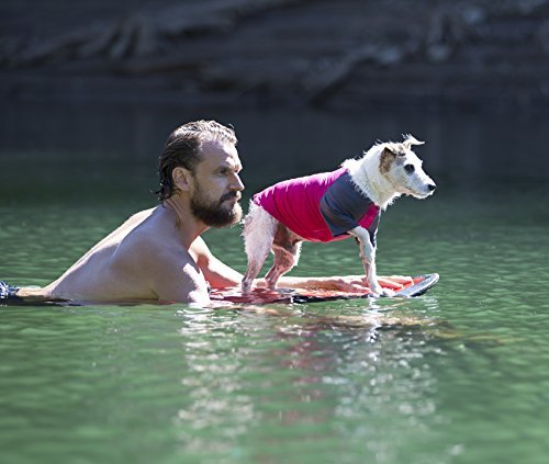 man swimming with dog on surfboard wearing pink and gray summer dog top
