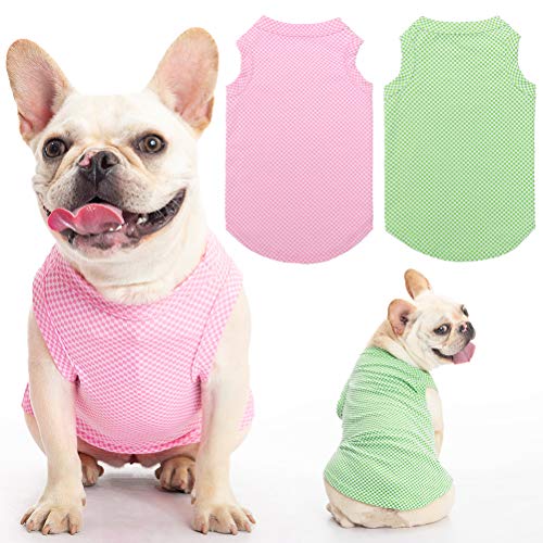 Frenchie wearing Scenereal top in gingham pattern, one in green, one in pink
