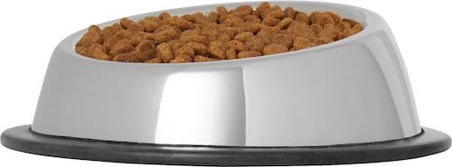 stainless steel tapered cat bowl full of kibble