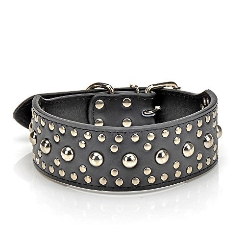 gray studded leather collar