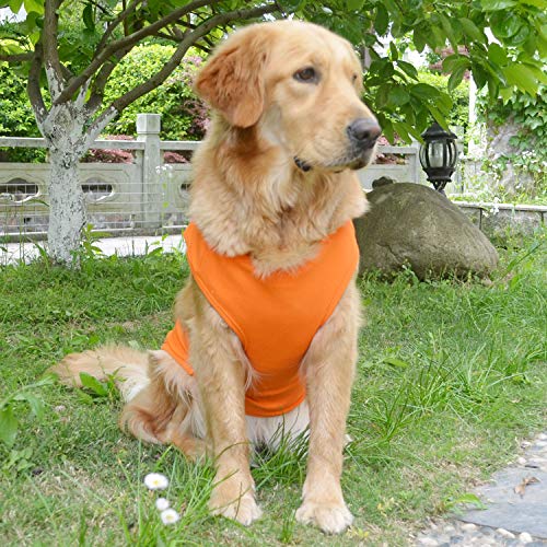 orange Amazon Lovelonglong ribbed tank summer dog top on Golden Retriever