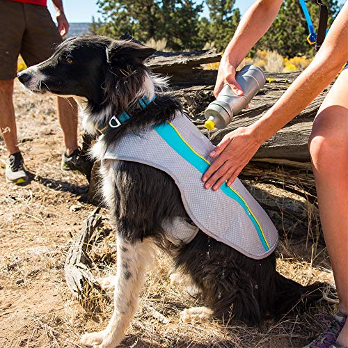 Dog on beach wearing silver and blue Ruffwear Swamp Cooler Evaporative Dog Cooling Vest sitting with owner pouring water from bottle on vest