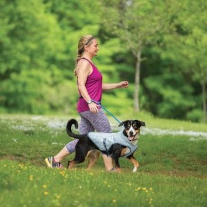 woman walking dog in park with dog wearing Kurgo core cooling vest in gray