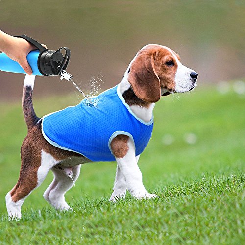 Beagle on grass wearing blue Selmai Dog Evaporative Swamp Cooler Vest with hand pouring water on it from bottle