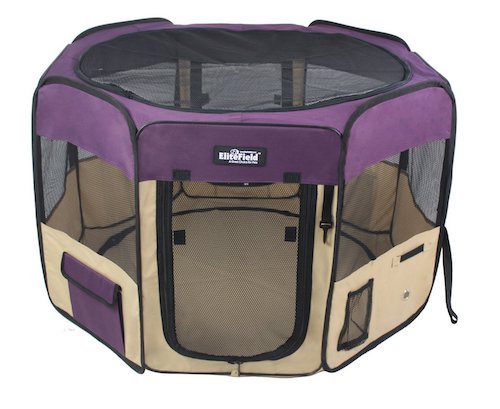 Purple EliteField canvas playpen for kittens
