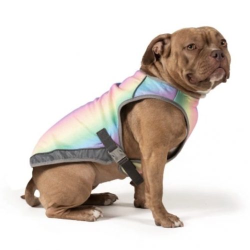 dog in rainbow Canada Pooch vest