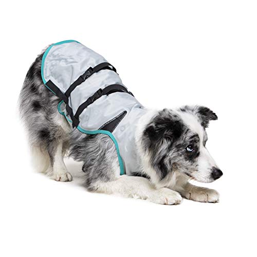 dog bowing wearing silver Suitical Dry Cooling Dog Vest