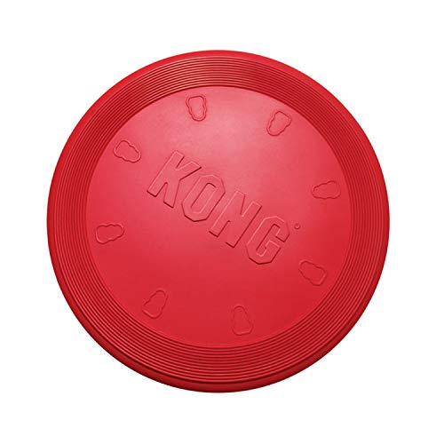 red KONG Flyer frisbee disc