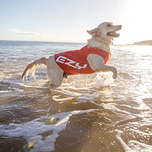 dog jumping in the ocean wearing red EzyDog rashguard summer dog top