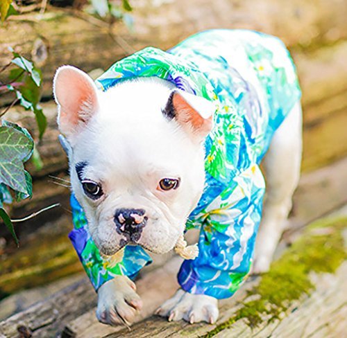 dog wearing tropical print lightweight MaruPet Doggie Summer Hawaii Style Hoodie