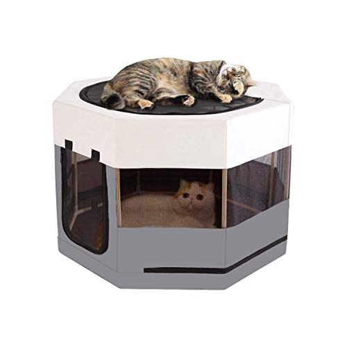 Cats sit on an octagonal kitten playpen with wooden frame