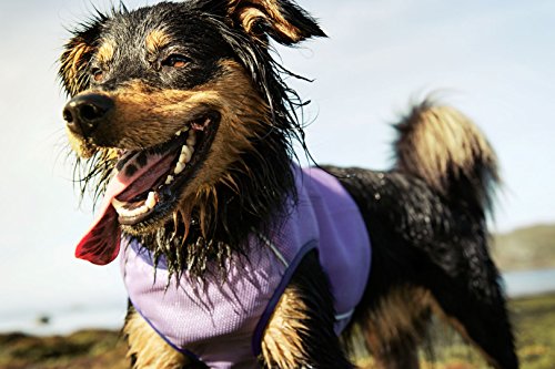 wet dog wearing Hurtta Collection Cooling Vest