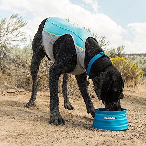 dog drinking water wearing a blue Ruffwear Jet Stream Vest