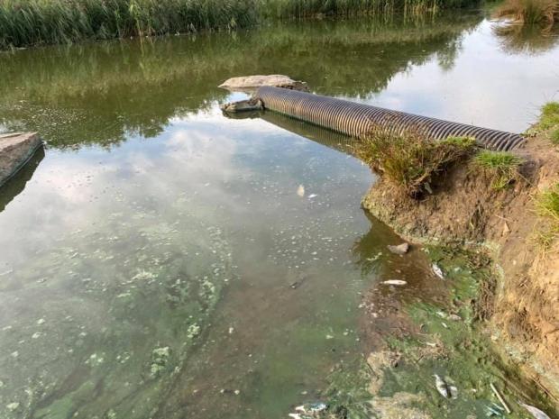 The Northern Echo: Picture: LOUISE KING