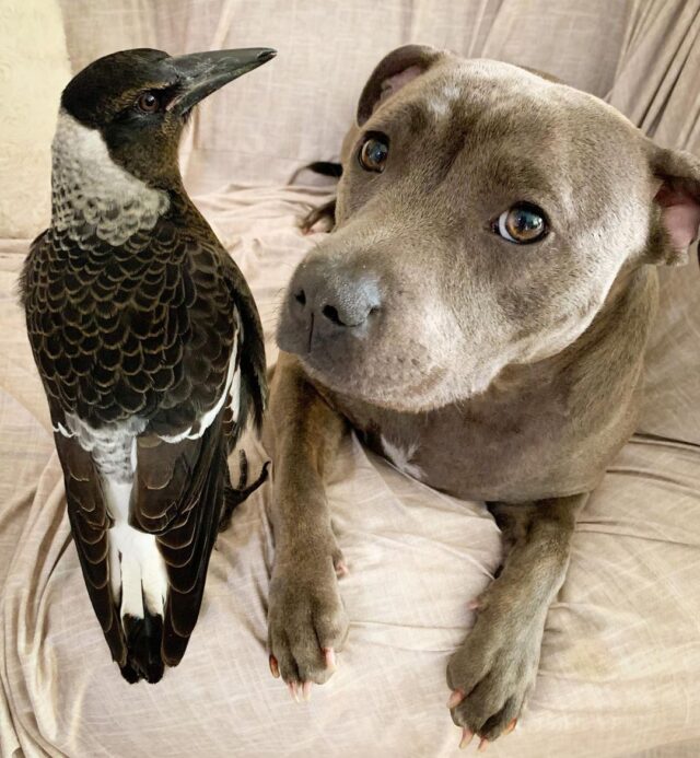 Molly and Peggy friendship