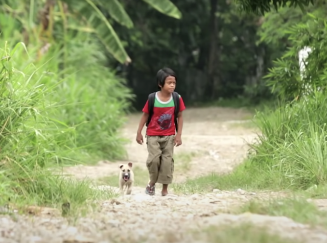 Boy and puppy walking together