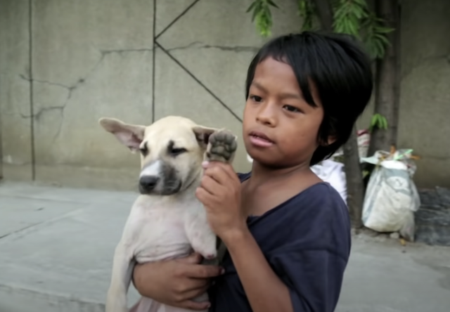 Boy and puppy wave at camera