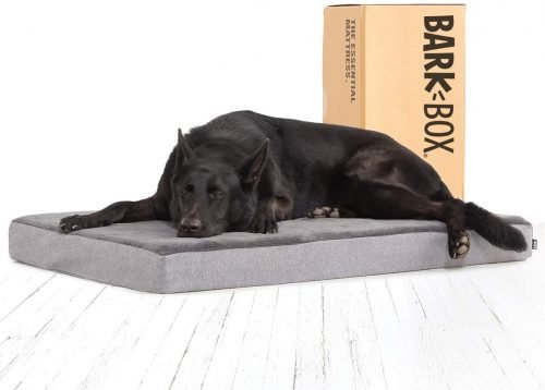 black German Shepherd on gray platform memory foam pad