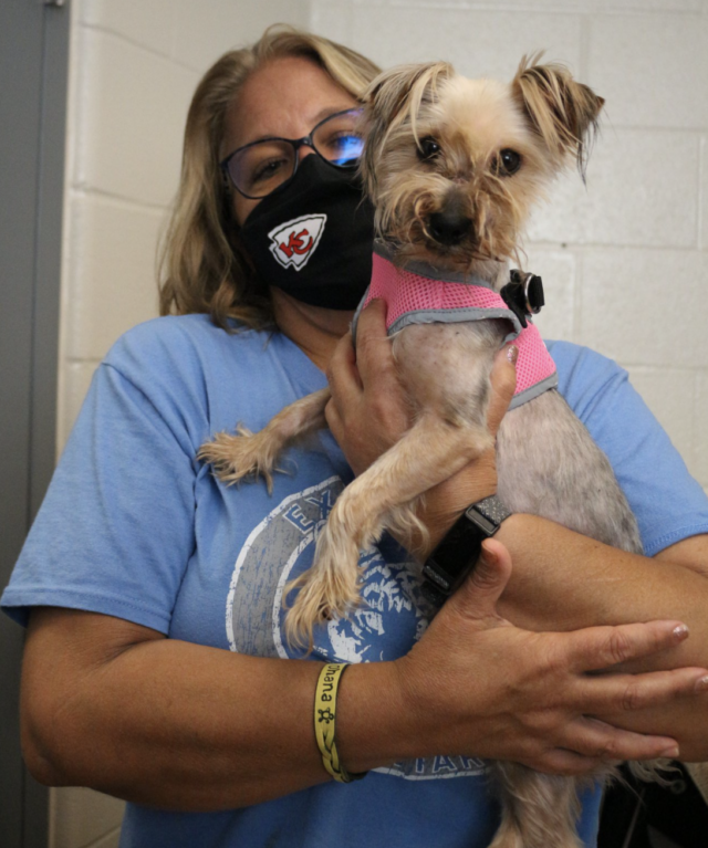 Formerly abused dog with foster mom