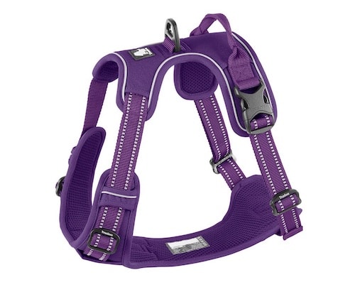 Purple dog harness