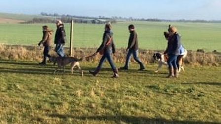 The 15-acre dog park at Country Boarding is popular with groups of dog walkers 