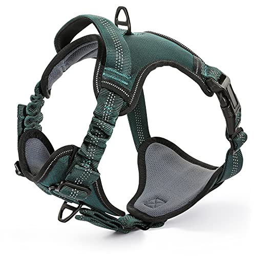 dark green dog harness